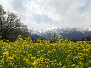 image-20120507143641.png